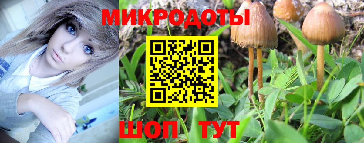 Новоуральск  Псилоцибиновые грибы GOLDEN TEACHER  Вход с VPN 